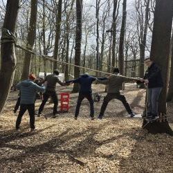 Wurzel und Wachstum